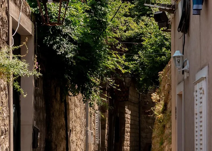 Casa de hóspedes Dominus