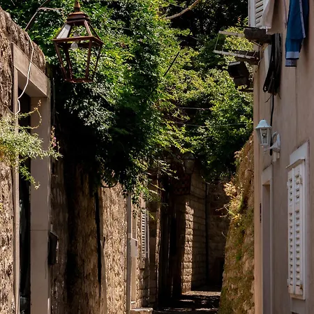 Πανσιόν Dominus